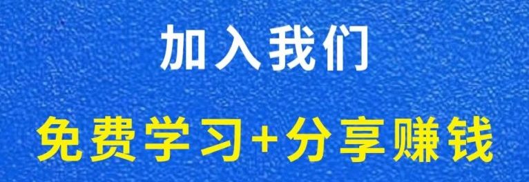 白菜价解锁20000+N个赚钱机会，加入我的站点会员，全站资源免费学习。-我的站点