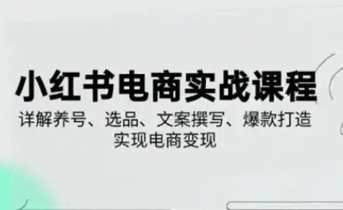 小红书从0-1实操课(2023-2025)，详解养号、选品、文案撰写、爆款打造实现电商变现-我的站点