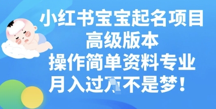 小红书宝宝起名项目高级版本，操作简单，资料专业，月入过W-我的站点