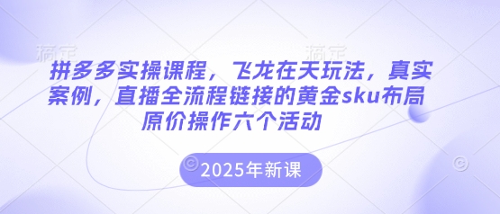 拼多多实操课程，飞龙在天玩法，真实案例，直播全流程链接的黄金sku布局原价操作六个活动-我的站点