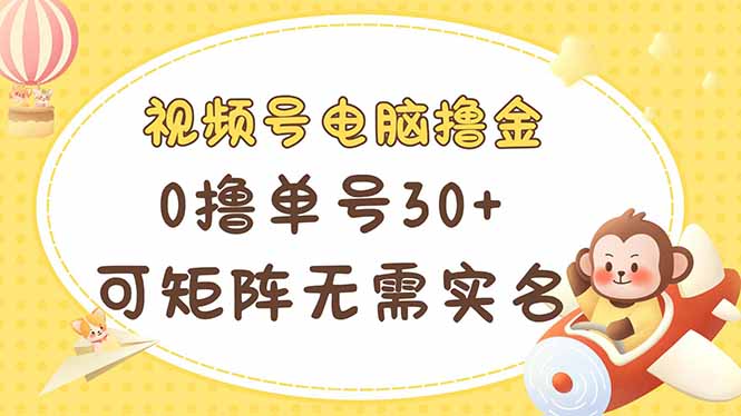 （14220期）视频号电脑撸金 0撸单号30+ 可矩阵 无需实名多号多得-我的站点