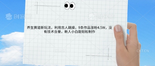 AI养生赛道新玩法，10条作品涨粉5.2W，操作简单，新人小白能轻松制作-我的站点