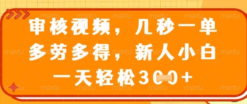 最新审核视频，几秒一单，多劳多得，新人小白一天轻松3张【揭秘】-我的站点