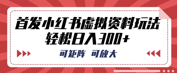 首发小红书虚拟资料玩法，可矩阵，可放大，轻松日入3张-我的站点