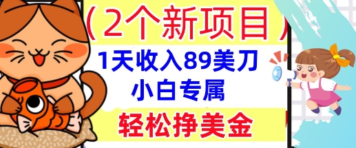 2个新项目，轻松挣美金， 1天收入89美刀，小白专属，干货分享-我的站点