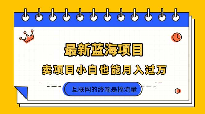 （14289期）2025年最新蓝海项目，卖项目小白也能月入过万-我的站点