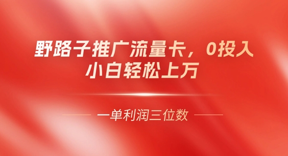0门槛推广流量卡，一单收益上百，0投入，小白月入过W-我的站点