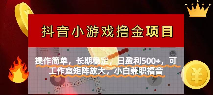 （14290期）【抖音小游戏发行人计划项目】操作简单，长期稳定，日盈利500+，可工作...-我的站点