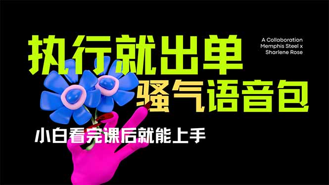 （14170期）爆火全网的开车导航骚气语音包,只要执行就出单，小白看完课程就能实操...-我的站点
