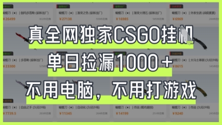真全网独家CSGO挂G，单日捡漏1k+【揭秘】-我的站点