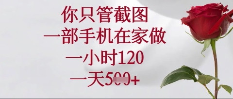 你只管截图，一部手机在家操作，一小时120.一天5张【揭秘】-我的站点